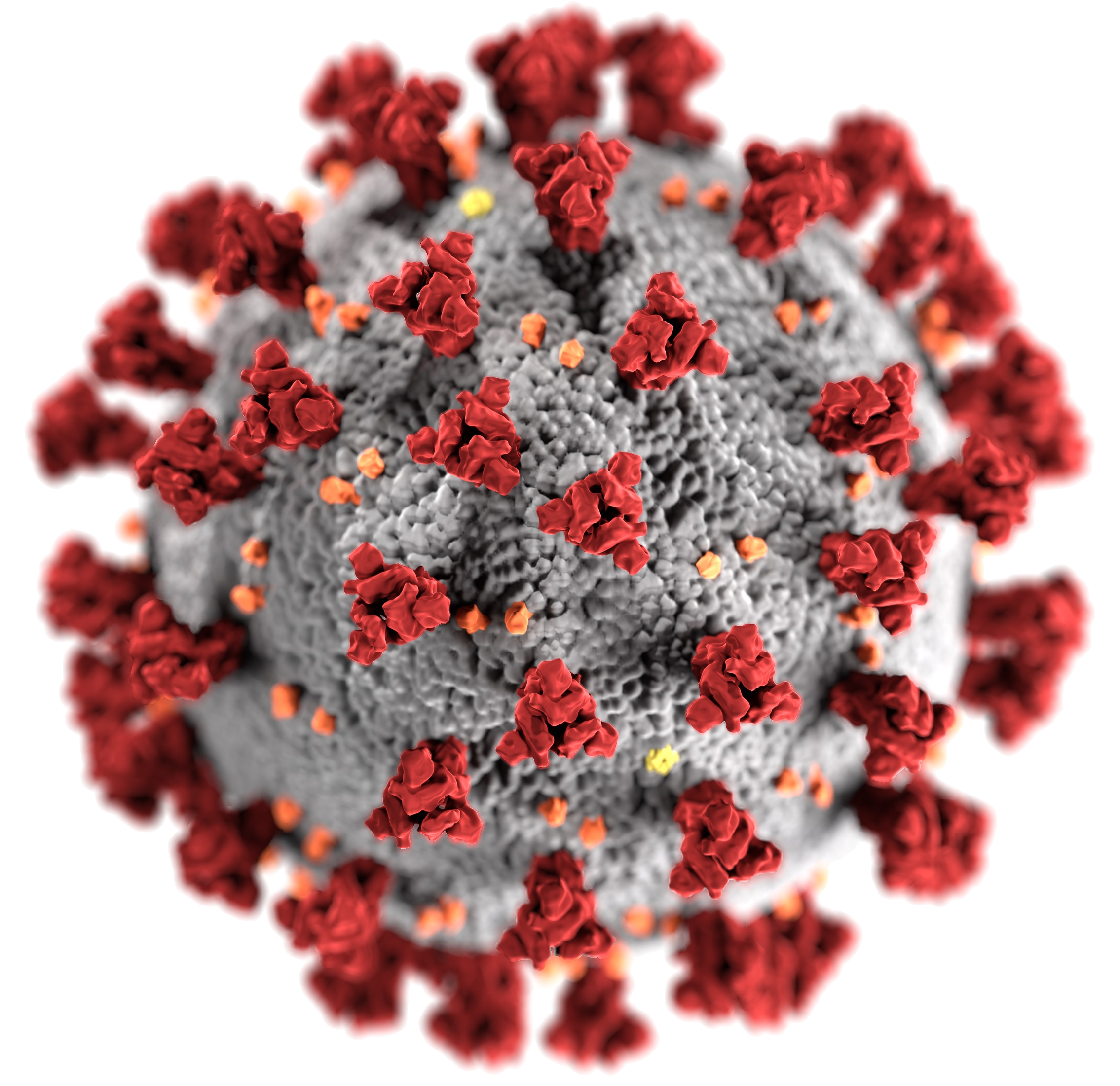 covid-virus
